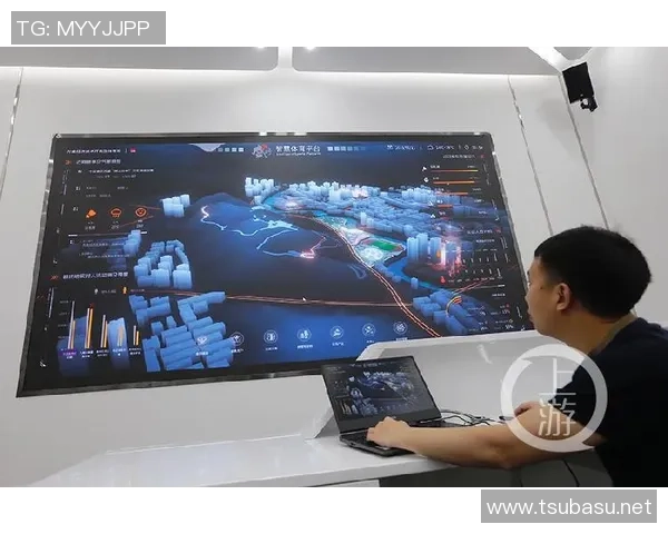 数据分析：西安羽毛球队的比赛经验表现